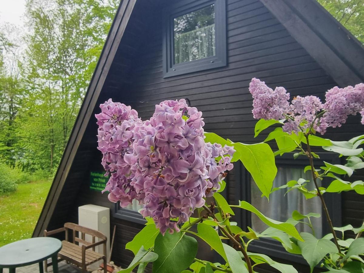 Ferienhaus Marie 125 Abádszalók ภายนอก รูปภาพ